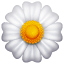 белый цветок эмоджи U+1F33C