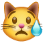 Плачущая кошка Whatsapp U+1F63F
