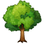 лиственное дерево Whatsapp U+1F333