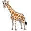 жираф эмоджи U+1F992