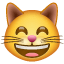 Ухмыляющаяся кошка Whatsapp U+1F638