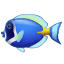 разноцветная рыба U+1F420